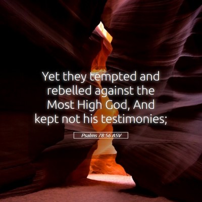 Picture 05 - Psalms 78:56 ASV - Yet they tempted and rebelled against the Most - Bible Verse Picture