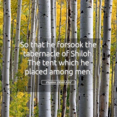 Picture 05 - Psalms 78:60 ASV - So that he forsook the tabernacle of Shiloh, The - Bible Verse Picture