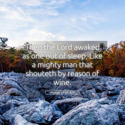 Picture 05 - Psalms 78:65 ASV - Then the Lord awaked as one out of sleep, Like a - Bible Verse Picture