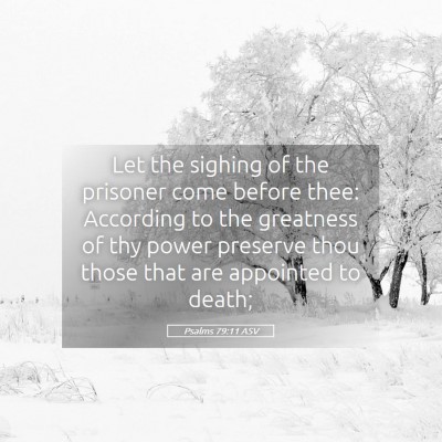 Picture 05 - Psalms 79:11 ASV - Let the sighing of the prisoner come before thee: - Bible Verse Picture