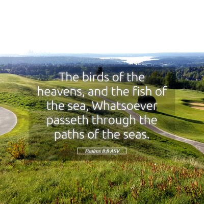 Picture 05 - Psalms 8:8 ASV - The birds of the heavens, and the fish of the - Bible Verse Picture