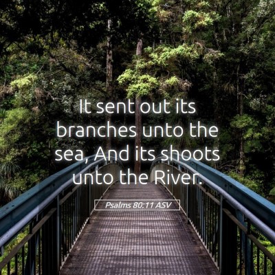 Picture 05 - Psalms 80:11 ASV - It sent out its branches unto the sea, And its - Bible Verse Picture
