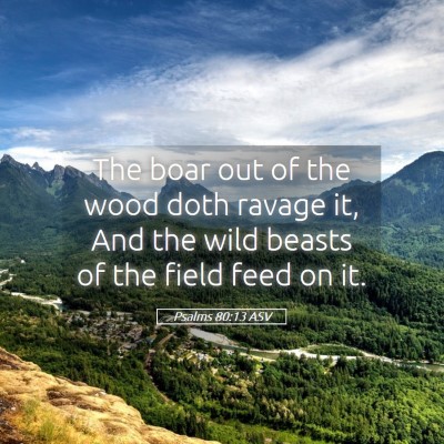 Picture 05 - Psalms 80:13 ASV - The boar out of the wood doth ravage it, And the - Bible Verse Picture