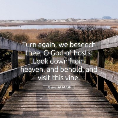 Picture 05 - Psalms 80:14 ASV - Turn again, we beseech thee, O God of hosts: Look - Bible Verse Picture