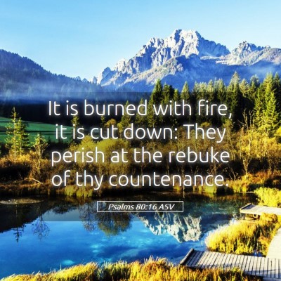 Picture 05 - Psalms 80:16 ASV - It is burned with fire, it is cut down: They - Bible Verse Picture