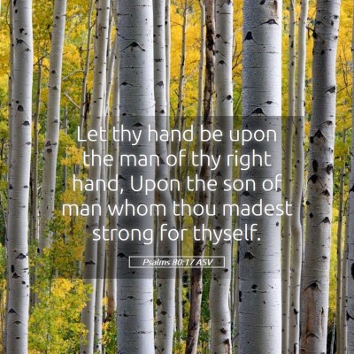 Picture 05 - Psalms 80:17 ASV - Let thy hand be upon the man of thy right hand, - Bible Verse Picture