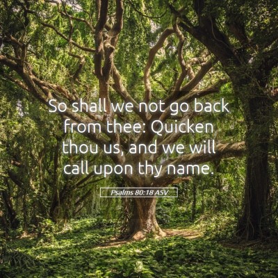 Picture 05 - Psalms 80:18 ASV - So shall we not go back from thee: Quicken thou - Bible Verse Picture