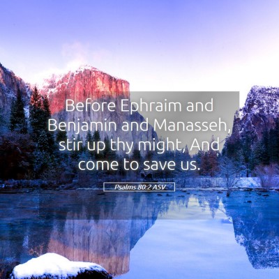 Picture 05 - Psalms 80:2 ASV - Before Ephraim and Benjamin and Manasseh, stir up - Bible Verse Picture