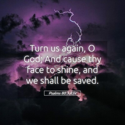 Picture 05 - Psalms 80:3 ASV - Turn us again, O God; And cause thy face to - Bible Verse Picture