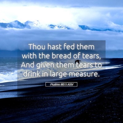 Picture 05 - Psalms 80:5 ASV - Thou hast fed them with the bread of tears, And - Bible Verse Picture