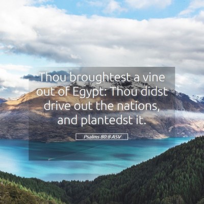 Picture 05 - Psalms 80:8 ASV - Thou broughtest a vine out of Egypt: Thou didst - Bible Verse Picture