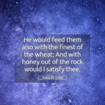 Picture 05 - Psalms 81:16 ASV - He would feed them also with the finest of the - Bible Verse Picture
