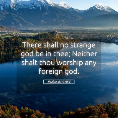 Picture 05 - Psalms 81:9 ASV - There shall no strange god be in thee; Neither - Bible Verse Picture