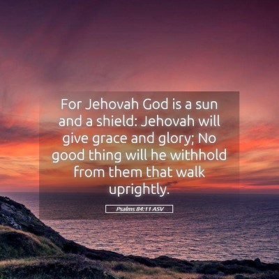 Picture 05 - Psalms 84:11 ASV - For Jehovah God is a sun and a shield: Jehovah - Bible Verse Picture