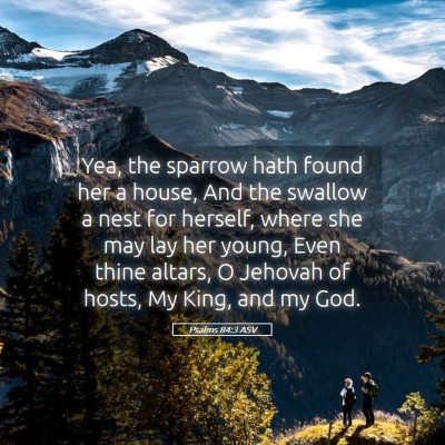 Picture 05 - Psalms 84:3 ASV - Yea, the sparrow hath found her a house, And the - Bible Verse Picture
