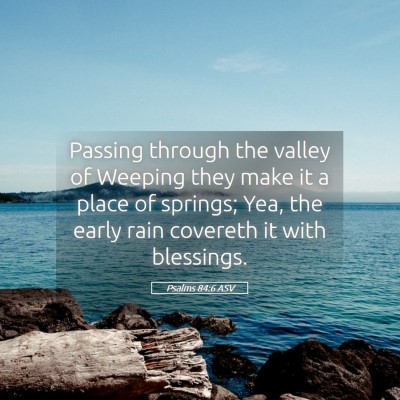 Picture 05 - Psalms 84:6 ASV - Passing through the valley of Weeping they make - Bible Verse Picture