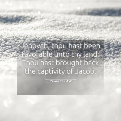 Picture 05 - Psalms 85:1 ASV - Jehovah, thou hast been favorable unto thy land; - Bible Verse Picture