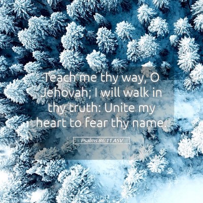 Picture 05 - Psalms 86:11 ASV - Teach me thy way, O Jehovah; I will walk in thy - Bible Verse Picture