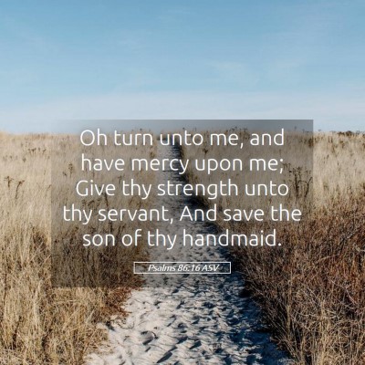 Picture 05 - Psalms 86:16 ASV - Oh turn unto me, and have mercy upon me; Give thy - Bible Verse Picture