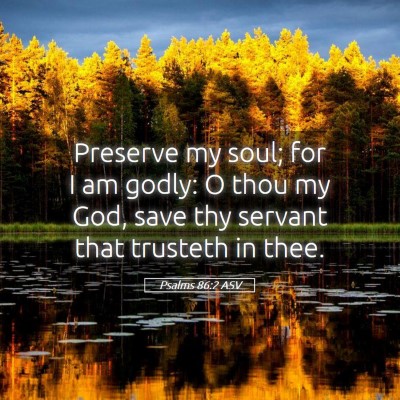 Picture 05 - Psalms 86:2 ASV - Preserve my soul; for I am godly: O thou my God, - Bible Verse Picture