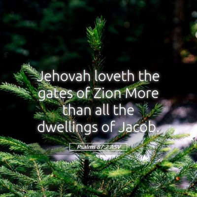 Picture 05 - Psalms 87:2 ASV - Jehovah loveth the gates of Zion More than all - Bible Verse Picture