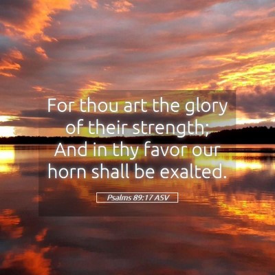 Picture 05 - Psalms 89:17 ASV - For thou art the glory of their strength; And in - Bible Verse Picture