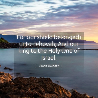 Picture 05 - Psalms 89:18 ASV - For our shield belongeth unto Jehovah; And our - Bible Verse Picture