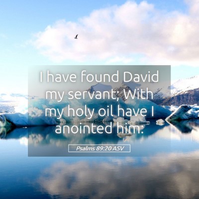 Picture 05 - Psalms 89:20 ASV - I have found David my servant; With my holy oil - Bible Verse Picture