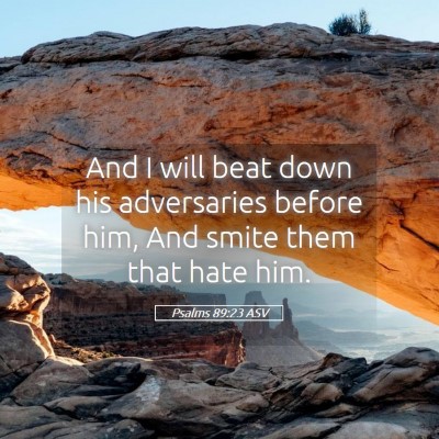 Picture 05 - Psalms 89:23 ASV - And I will beat down his adversaries before him, - Bible Verse Picture