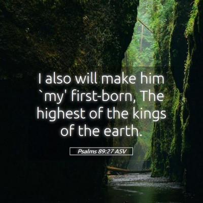 Picture 05 - Psalms 89:27 ASV - I also will make him `my' first-born, The highest - Bible Verse Picture
