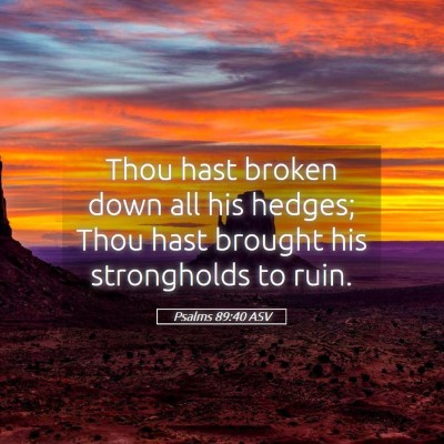 Picture 05 - Psalms 89:40 ASV - Thou hast broken down all his hedges; Thou hast - Bible Verse Picture