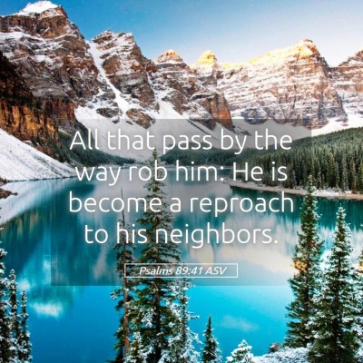 Picture 05 - Psalms 89:41 ASV - All that pass by the way rob him: He is become a - Bible Verse Picture
