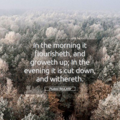 Picture 05 - Psalms 90:6 ASV - In the morning it flourisheth, and groweth up; In - Bible Verse Picture