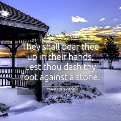 Picture 05 - Psalms 91:12 ASV - They shall bear thee up in their hands, Lest thou - Bible Verse Picture
