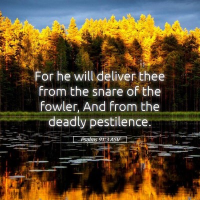 Picture 05 - Psalms 91:3 ASV - For he will deliver thee from the snare of the - Bible Verse Picture