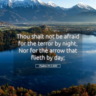 Picture 05 - Psalms 91:5 ASV - Thou shalt not be afraid for the terror by night, - Bible Verse Picture