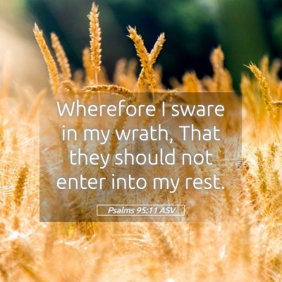Picture 05 - Psalms 95:11 ASV - Wherefore I sware in my wrath, That they should - Bible Verse Picture