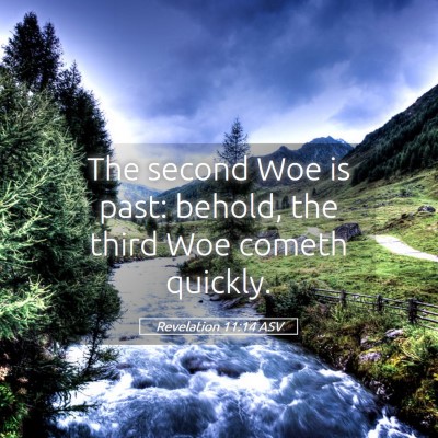 Picture 05 - Revelation 11:14 ASV - The second Woe is past: behold, the third Woe - Bible Verse Picture