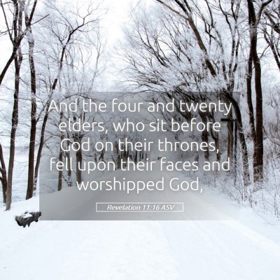 Picture 05 - Revelation 11:16 ASV - And the four and twenty elders, who sit before - Bible Verse Picture