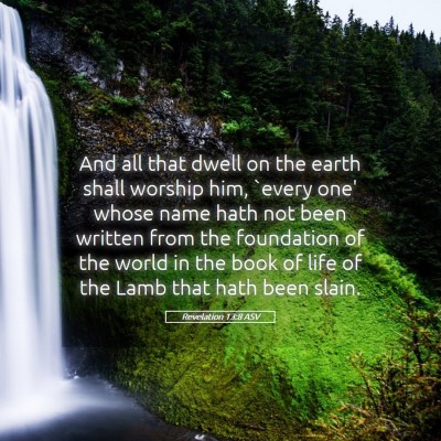 Picture 05 - Revelation 13:8 ASV - And all that dwell on the earth shall worship - Bible Verse Picture