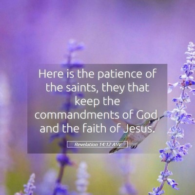 Picture 05 - Revelation 14:12 ASV - Here is the patience of the saints, they that - Bible Verse Picture