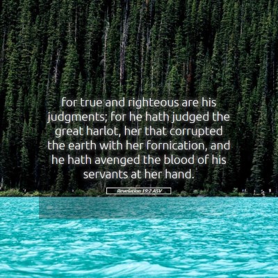 Picture 05 - Revelation 19:2 ASV - for true and righteous are his judgments; for he - Bible Verse Picture