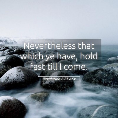 Picture 05 - Revelation 2:25 ASV - Nevertheless that which ye have, hold fast till I - Bible Verse Picture