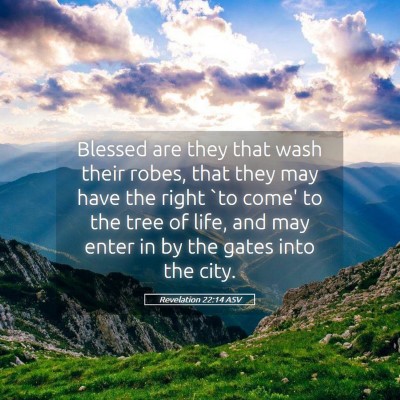 Picture 05 - Revelation 22:14 ASV - Blessed are they that wash their robes, that they - Bible Verse Picture