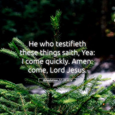Picture 05 - Revelation 22:20 ASV - He who testifieth these things saith, Yea: I come - Bible Verse Picture