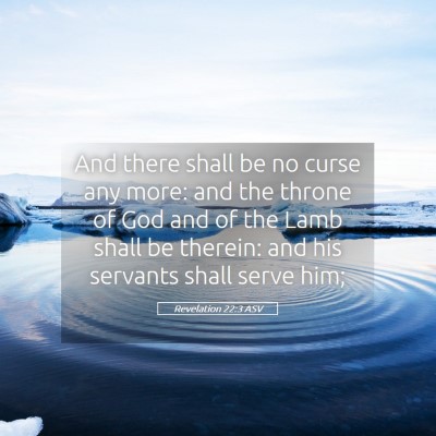 Picture 05 - Revelation 22:3 ASV - And there shall be no curse any more: and the - Bible Verse Picture