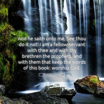 Picture 05 - Revelation 22:9 ASV - And he saith unto me, See thou do it not: I am a - Bible Verse Picture
