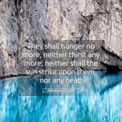 Picture 05 - Revelation 7:16 ASV - They shall hunger no more, neither thirst any - Bible Verse Picture