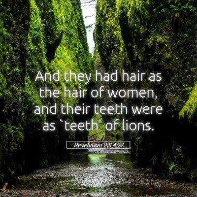 Picture 05 - Revelation 9:8 ASV - And they had hair as the hair of women, and their - Bible Verse Picture
