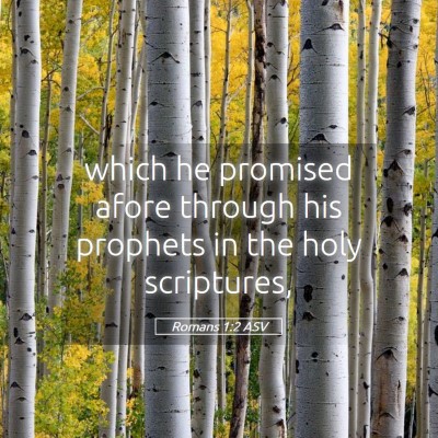 Picture 05 - Romans 1:2 ASV - which he promised afore through his prophets in - Bible Verse Picture